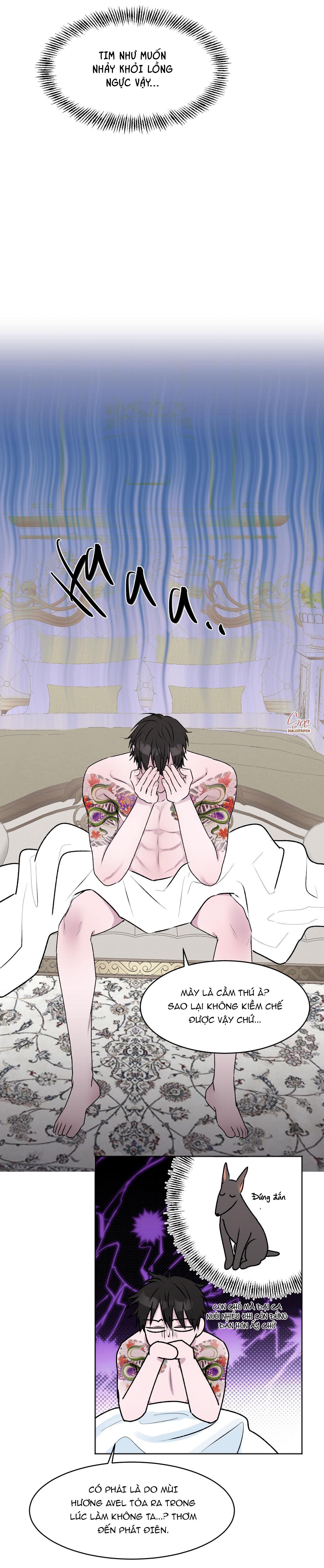 Đọc truyện TUYỂN TẬP ABO - MANG THAI NGẮN CỦA NHÀ SẸC - Chapter 48