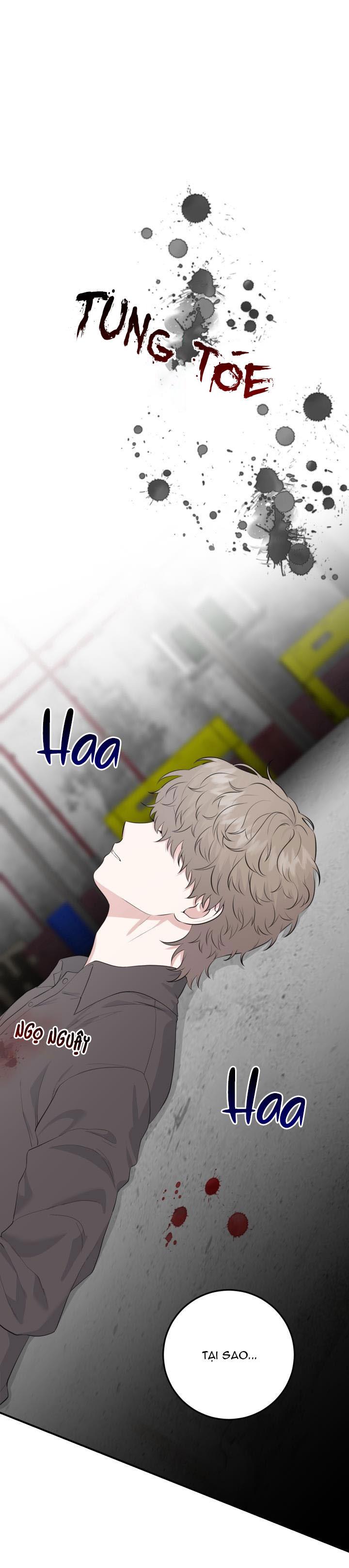 Đọc truyện VẺ ĐẸP BÊN TRONG - Chapter 16