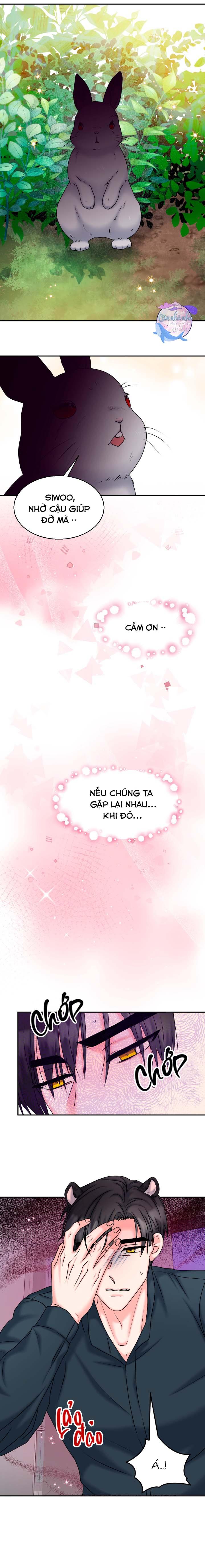 Đọc truyện ĐÂY LÀ CHÚ THỎ MÀ BẠN (KHÔNG) ĐÃ ĐẶT HÀNG - Chapter 20