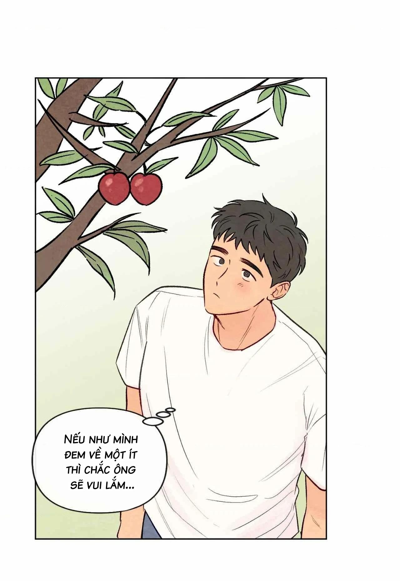 Đọc truyện Sự quyến rũ của Thần Rắn - Chapter 25