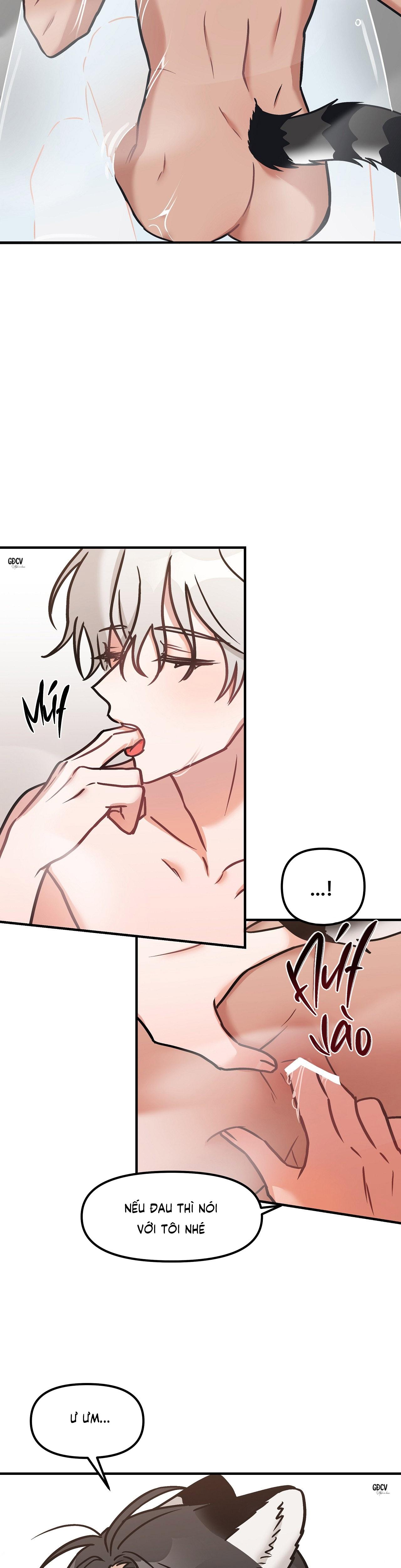 Đọc truyện THƯA NGÀI HỔ, TÔI ĐÃ ĂN RẤT NGON MIỆNG - Chapter 19