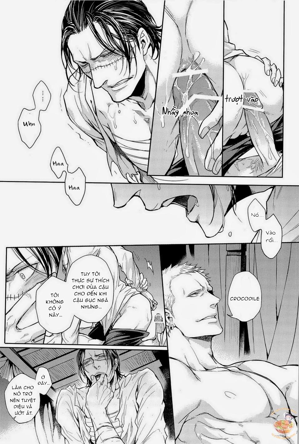 Đọc truyện Tổng Hợp OnePiece Dj - Chapter 35