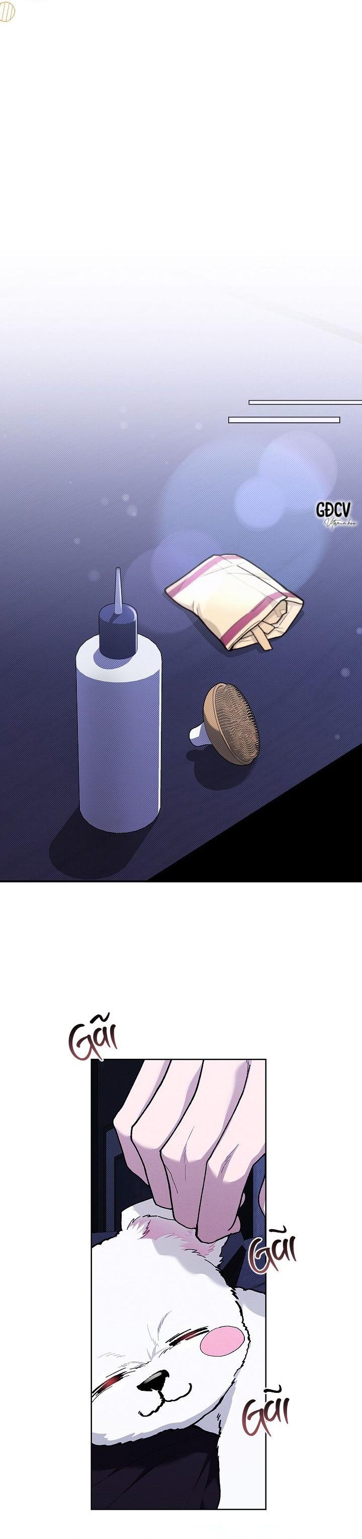 Đọc truyện ĐỪNG CHẠM VÀO CÚN CON CỦA TÔI - Chapter 6