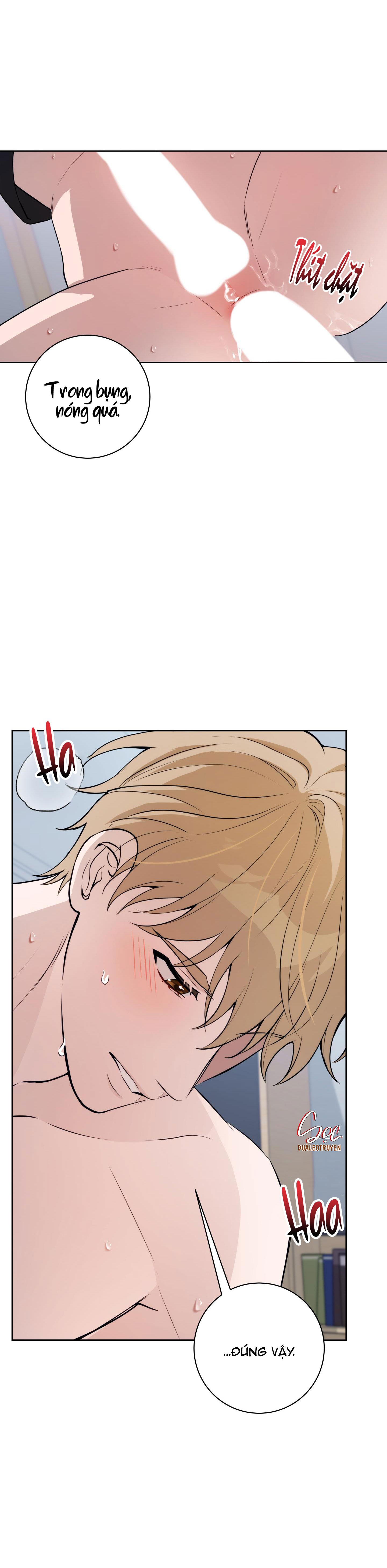 Đọc truyện BA ĐÊM LÀM TÌNH THIỆT ĐẤY - Chapter 12