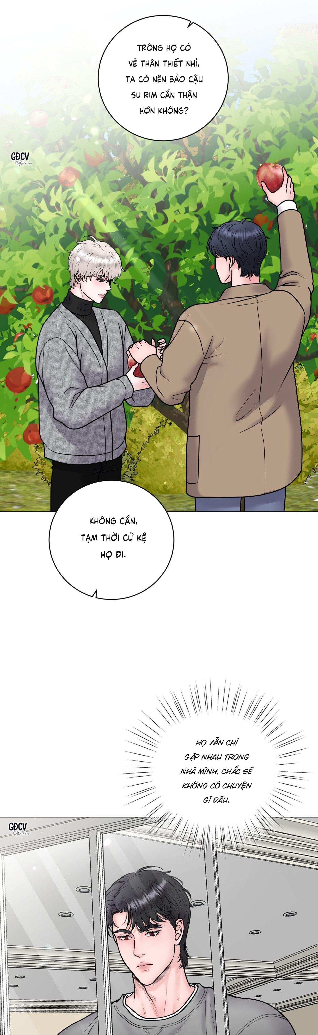 Đọc truyện ẢO ẢNH - Chapter 24