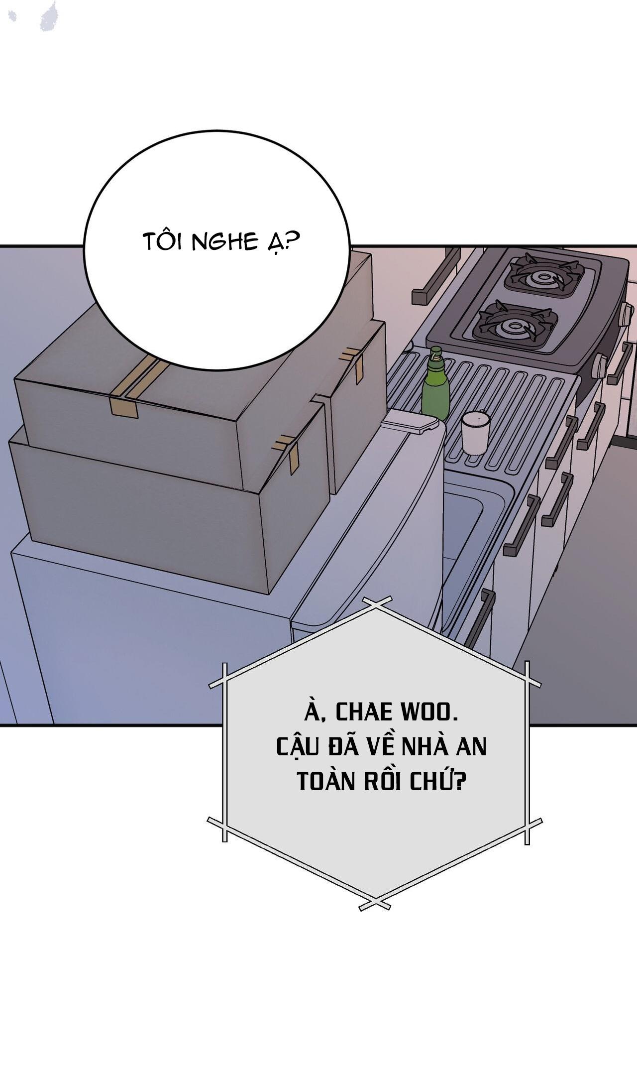 Đọc truyện CẠM BẪY ĐẠI HỌC - Chapter 84