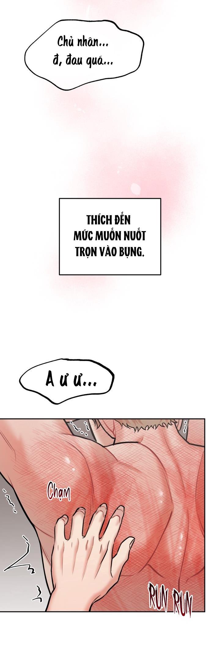 Đọc truyện HƯỚNG DẪN BDSM CƠ BẢN - Chapter 8