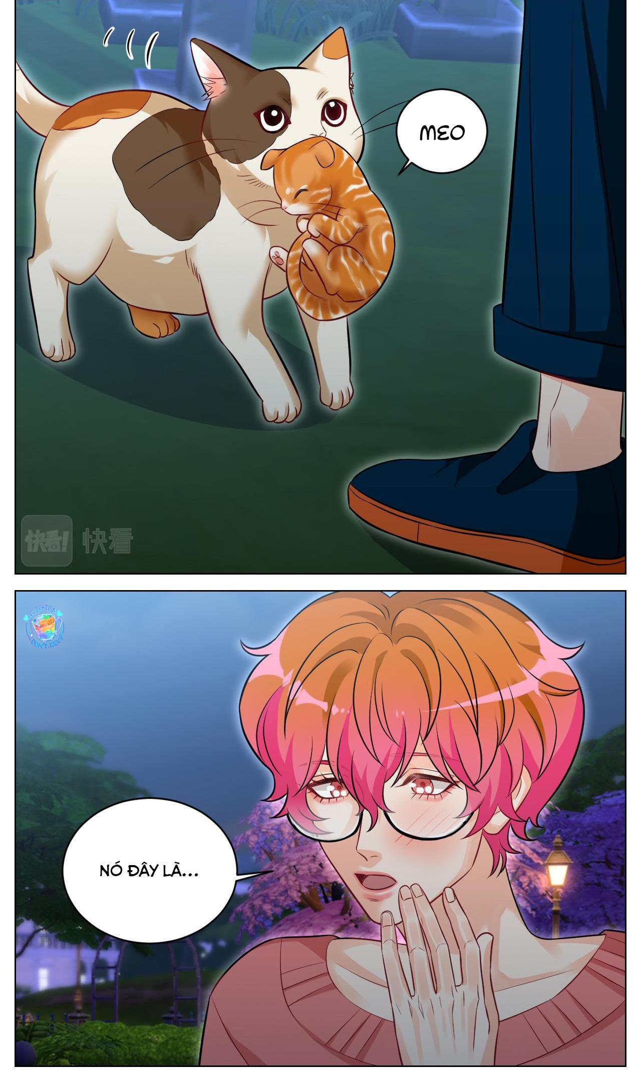 Đọc truyện Ký túc xá nam phòng 303 - Chapter 238