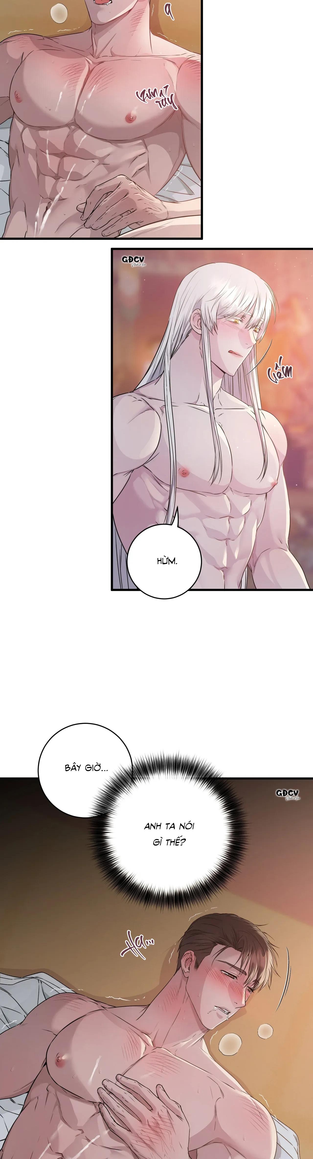 Đọc truyện CỨU TINH CỦA RẮN - Chapter 2