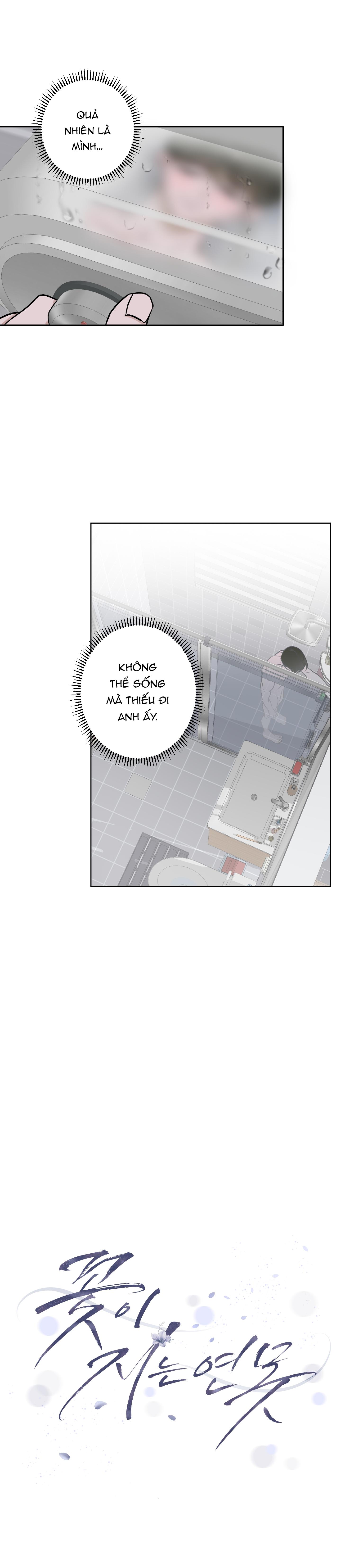 Đọc truyện  Đầm Hoa Sen - Chapter 12