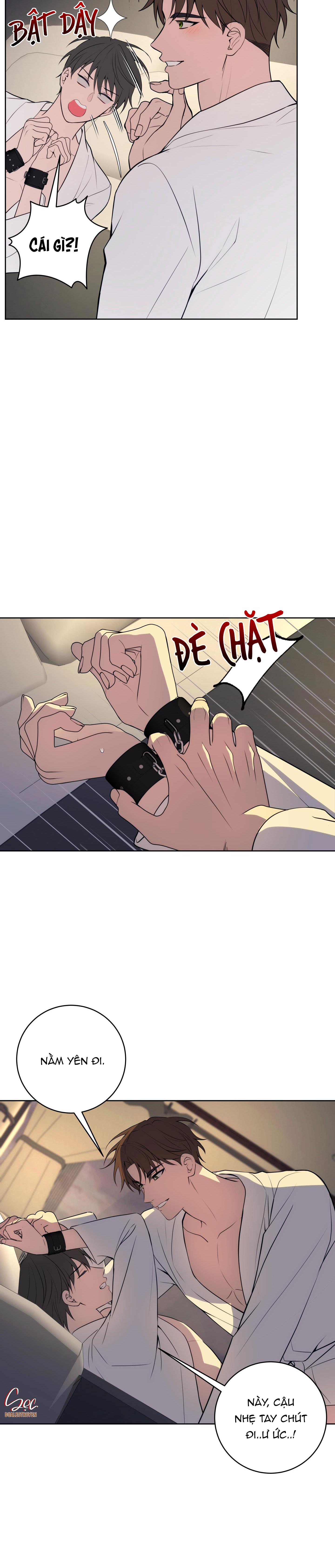 Đọc truyện BA ĐÊM LÀM TÌNH THIỆT ĐẤY - Chapter 19