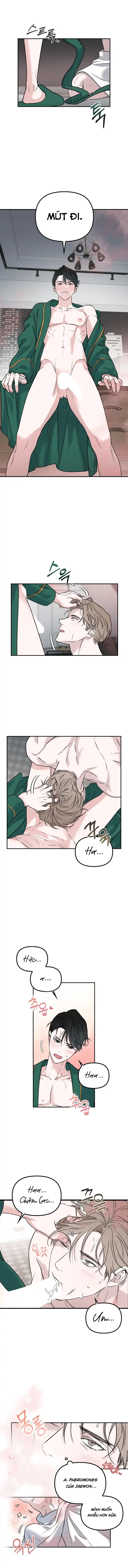 Đọc truyện Non-refundable Alpha [Hoàn] - Chapter 1