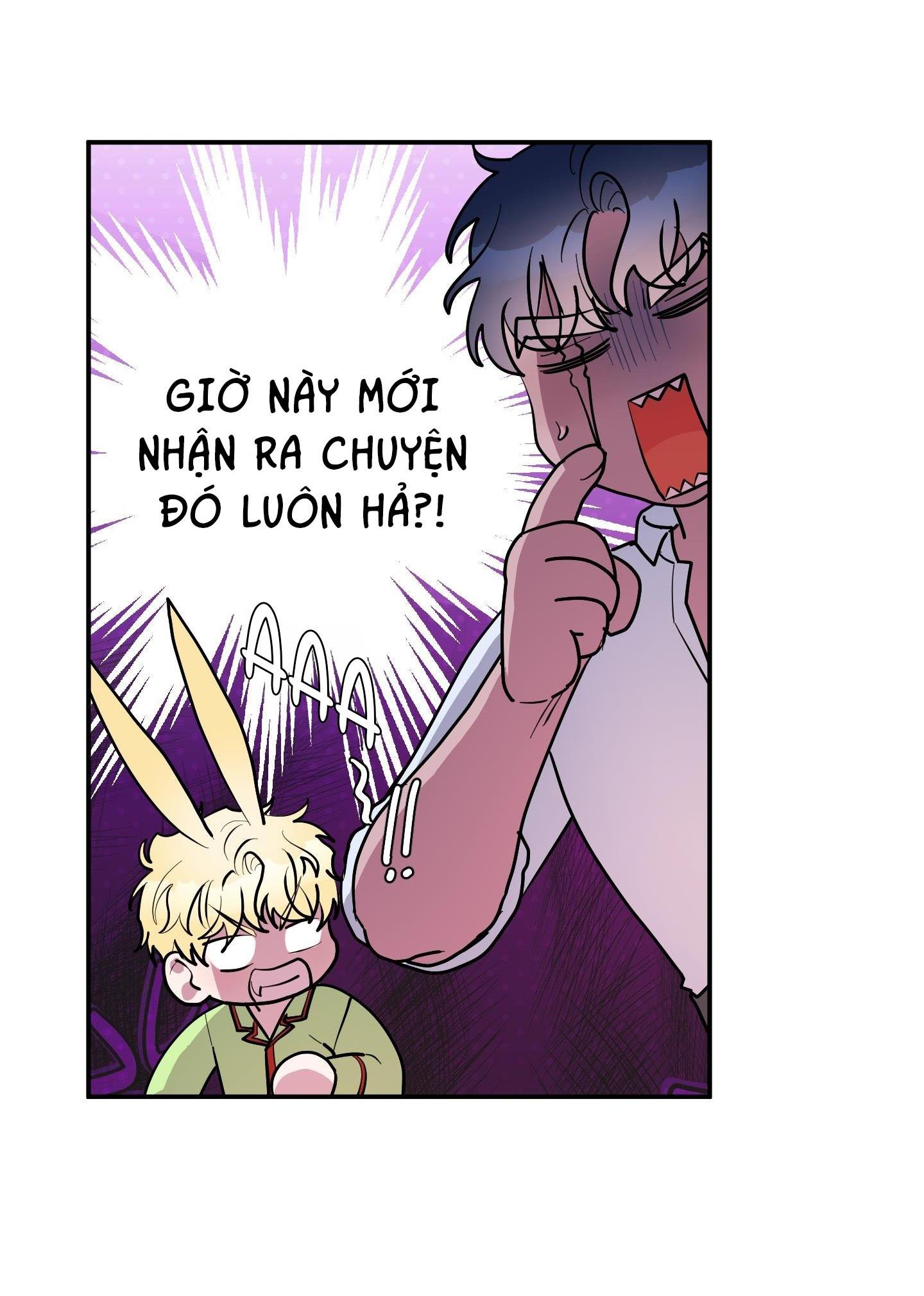 Đọc truyện CÁ MẬP VÀ CÔ DÂU THỎ - Chapter 37