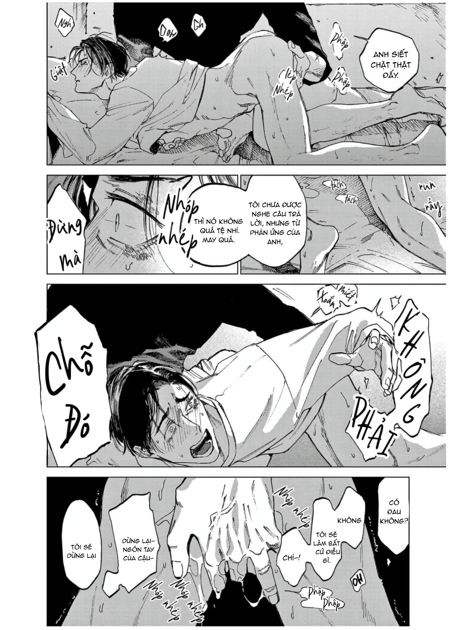 Đọc truyện Đấu giá Hikari TOKYO - Chapter 6