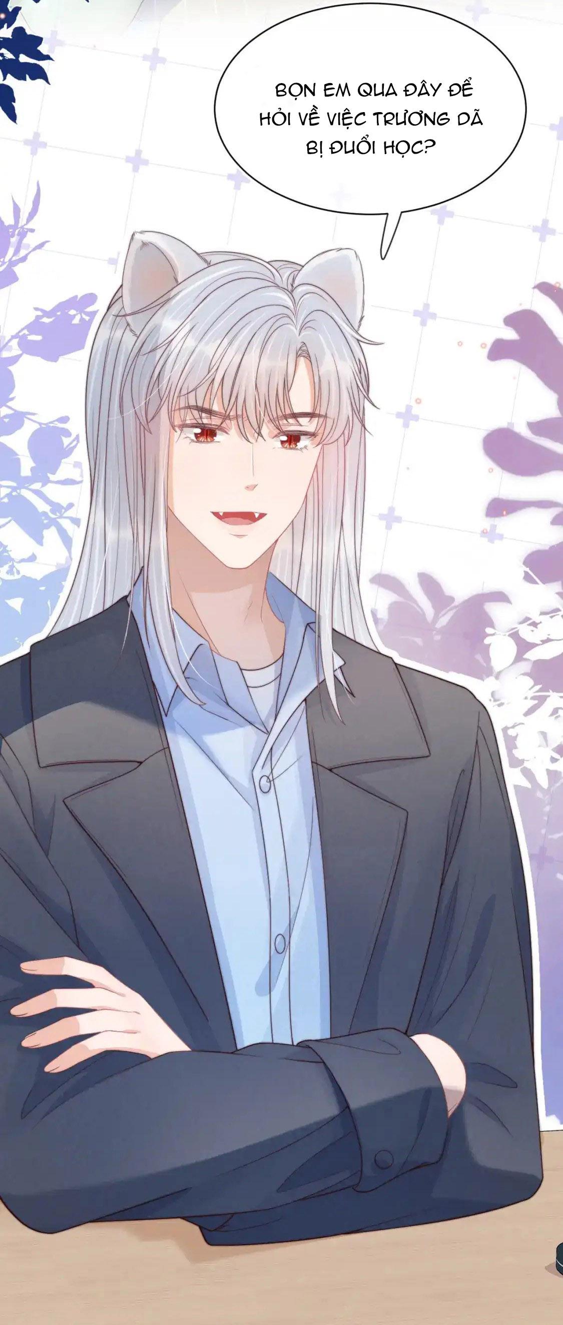 Đọc truyện Ss2 Một ngụm ăn cả thỏ con - Chapter 43