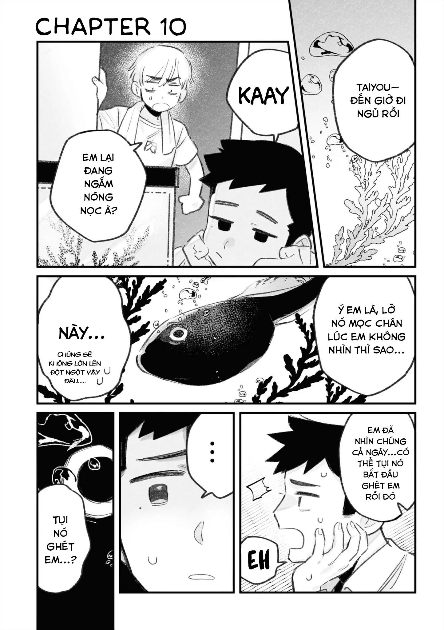 Đọc truyện Stalker x Stalker - Chapter 10