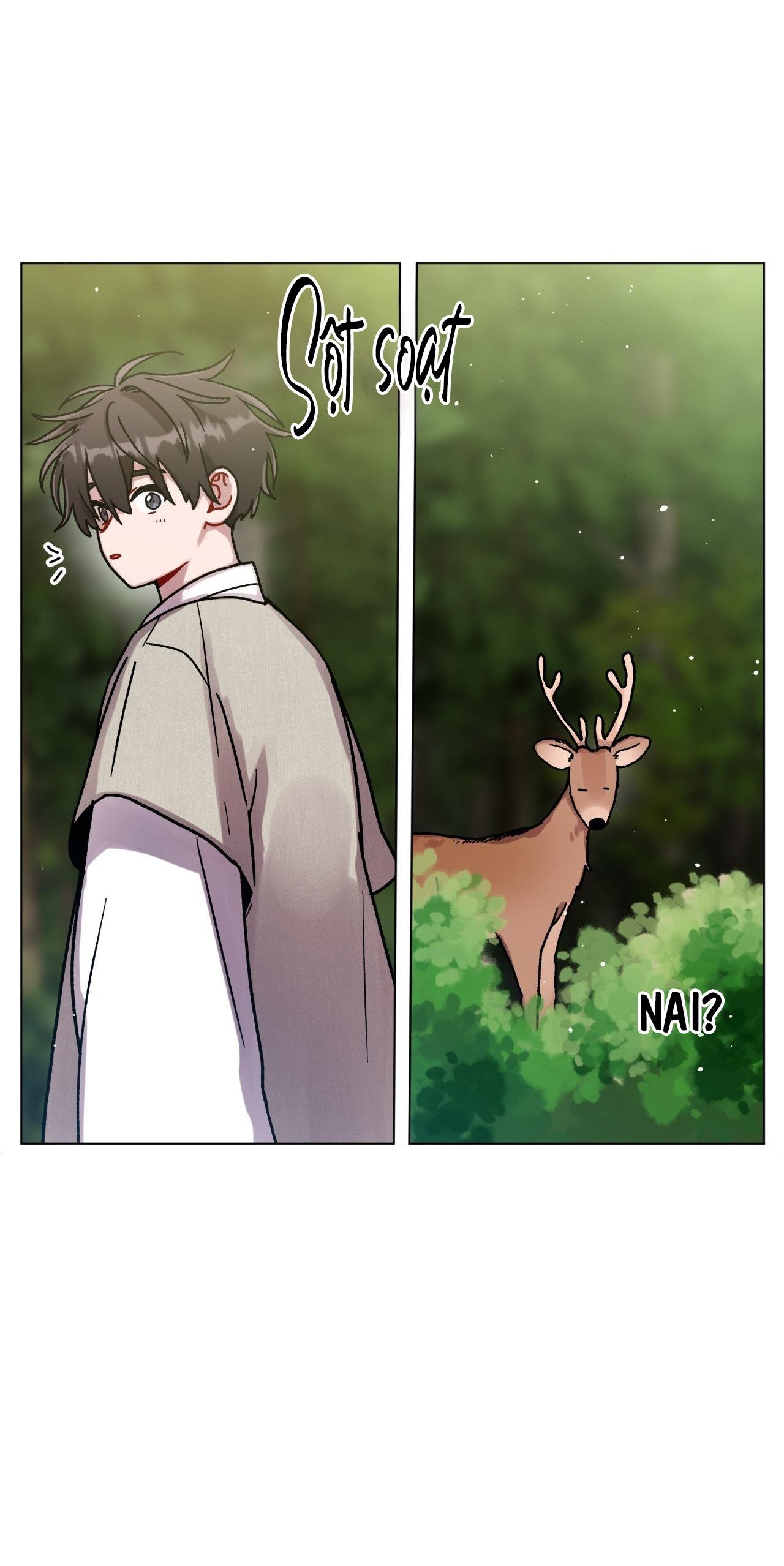 Đọc truyện CƠN MƯA RÀO MÙA HẠ - Chapter 87