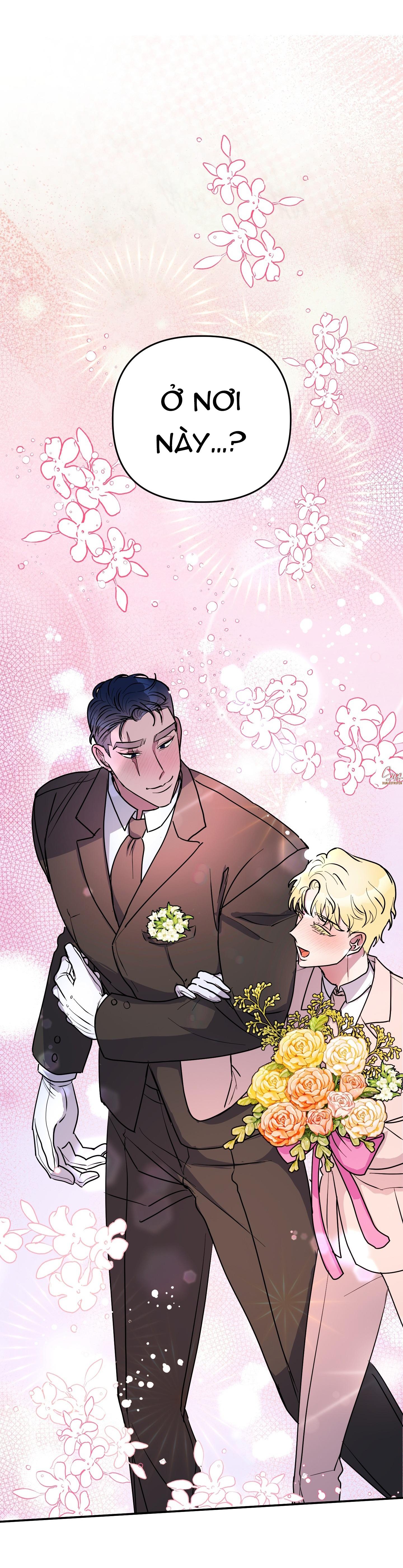 Đọc truyện CÁ MẬP VÀ CÔ DÂU THỎ - Chapter 53