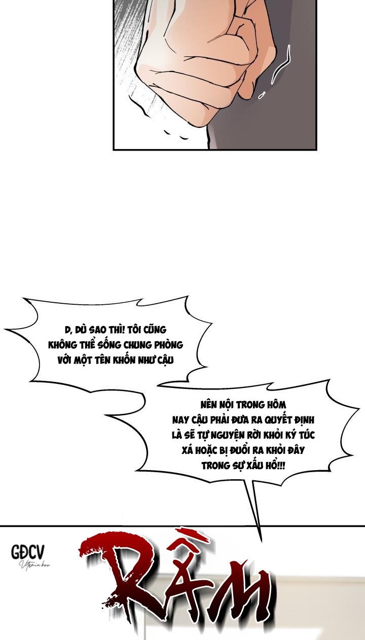 Đọc truyện HOA KHÔNG HƯƠNG - Chapter 5