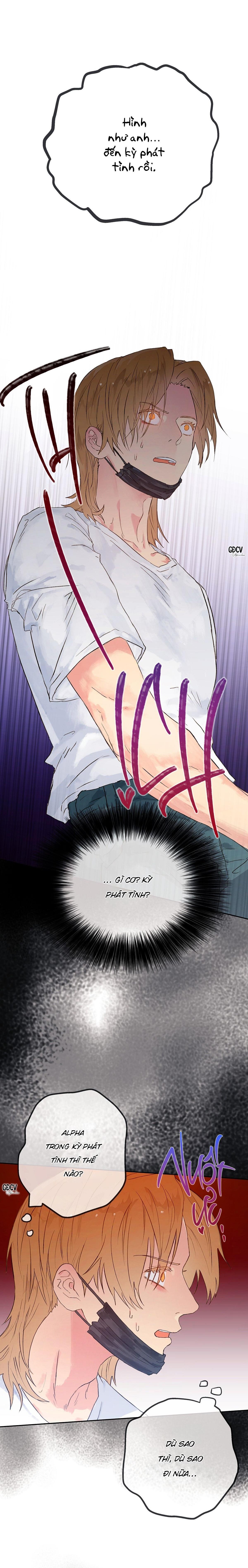 Đọc truyện Đứng Yên, Nhúc Nhích Là Cứng Đó! - Chapter 33