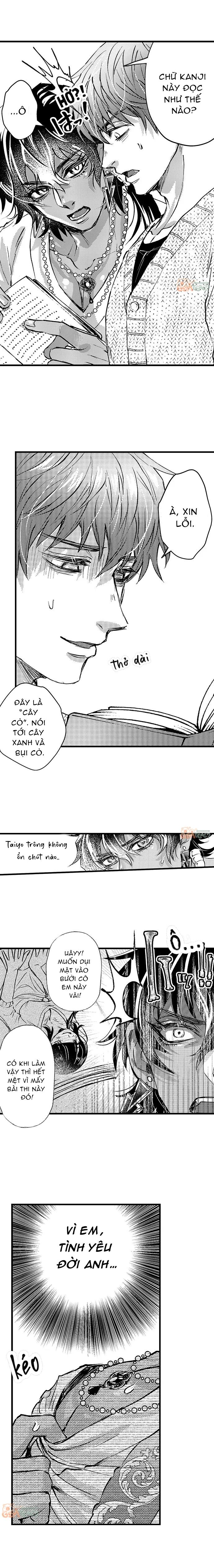 Đọc truyện Trả tiền để mơn trớn - Chapter 2