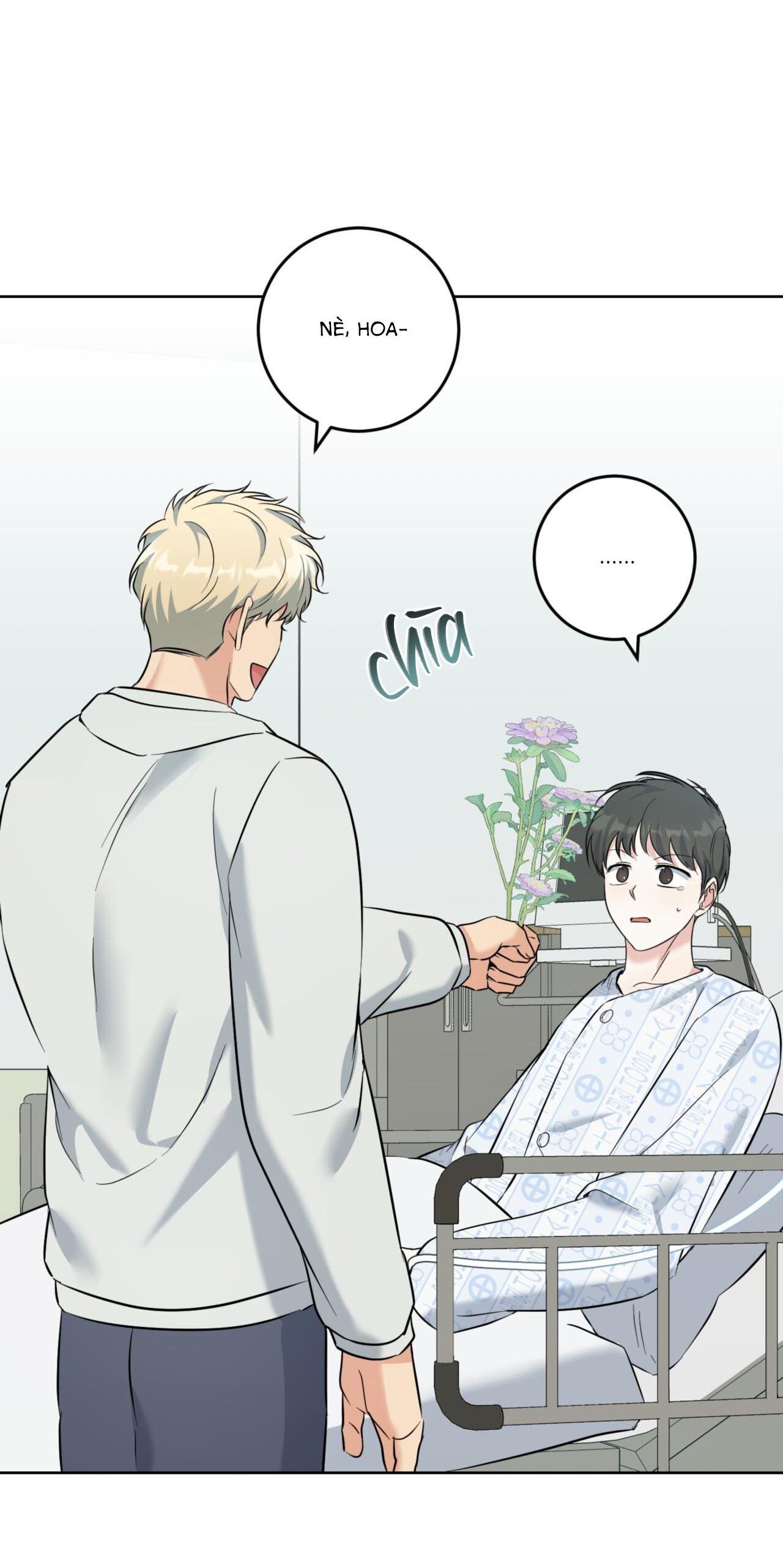 Đọc truyện  Khu Rừng Tĩnh Lặng - Chapter 35