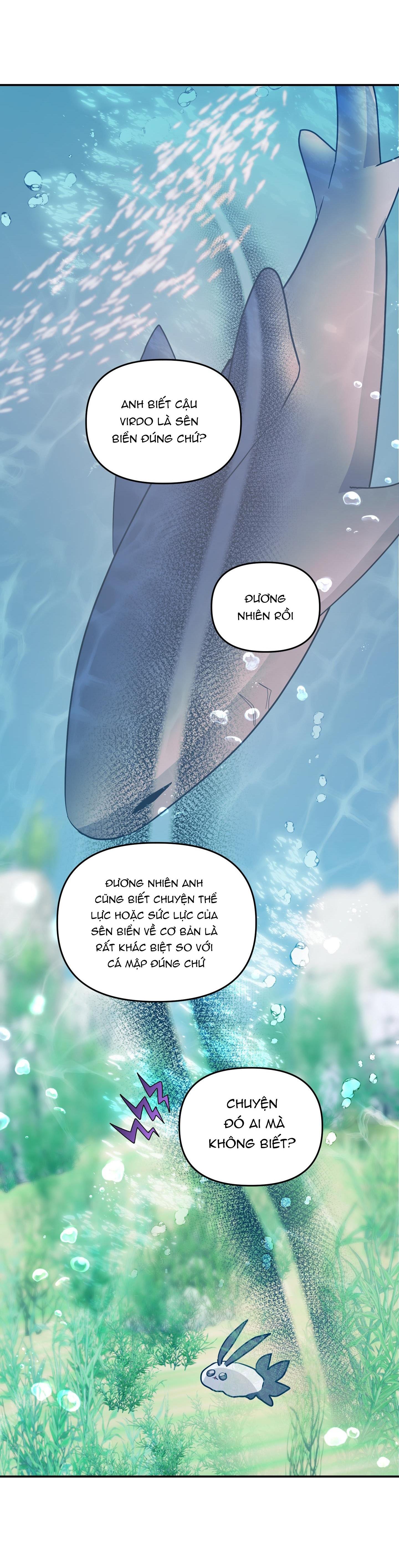 Đọc truyện CÁ MẬP VÀ CÔ DÂU THỎ - Chapter 39