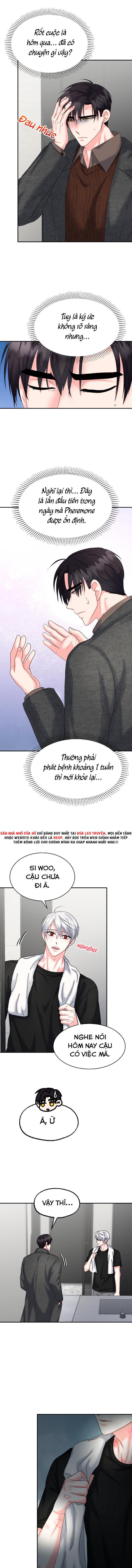 Đọc truyện ĐÂY LÀ CHÚ THỎ MÀ BẠN (KHÔNG) ĐÃ ĐẶT HÀNG - Chapter 21