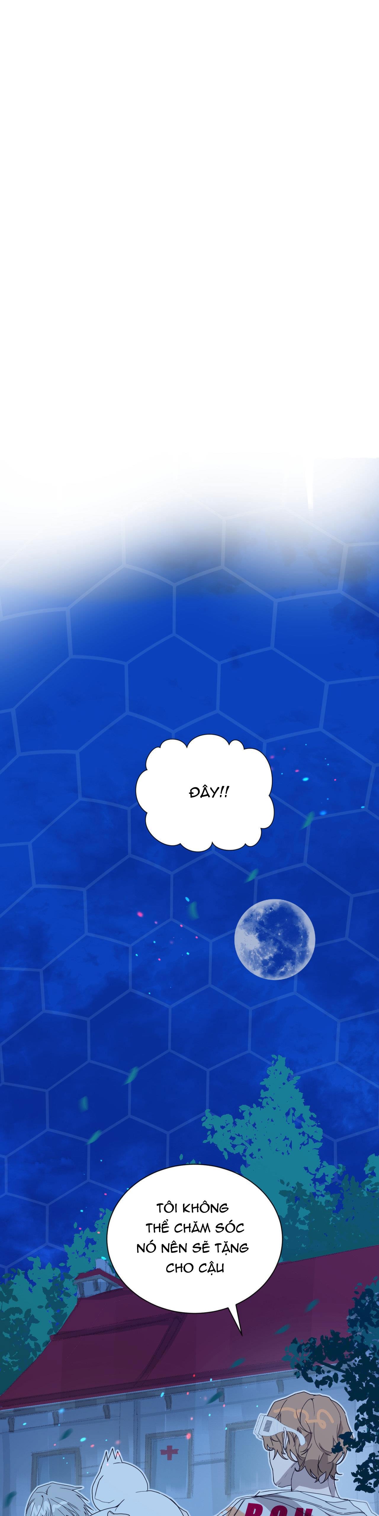 Đọc truyện BẠN CÙNG LỚP MẪU GIÁO MẶT TRỜI - Chapter 2