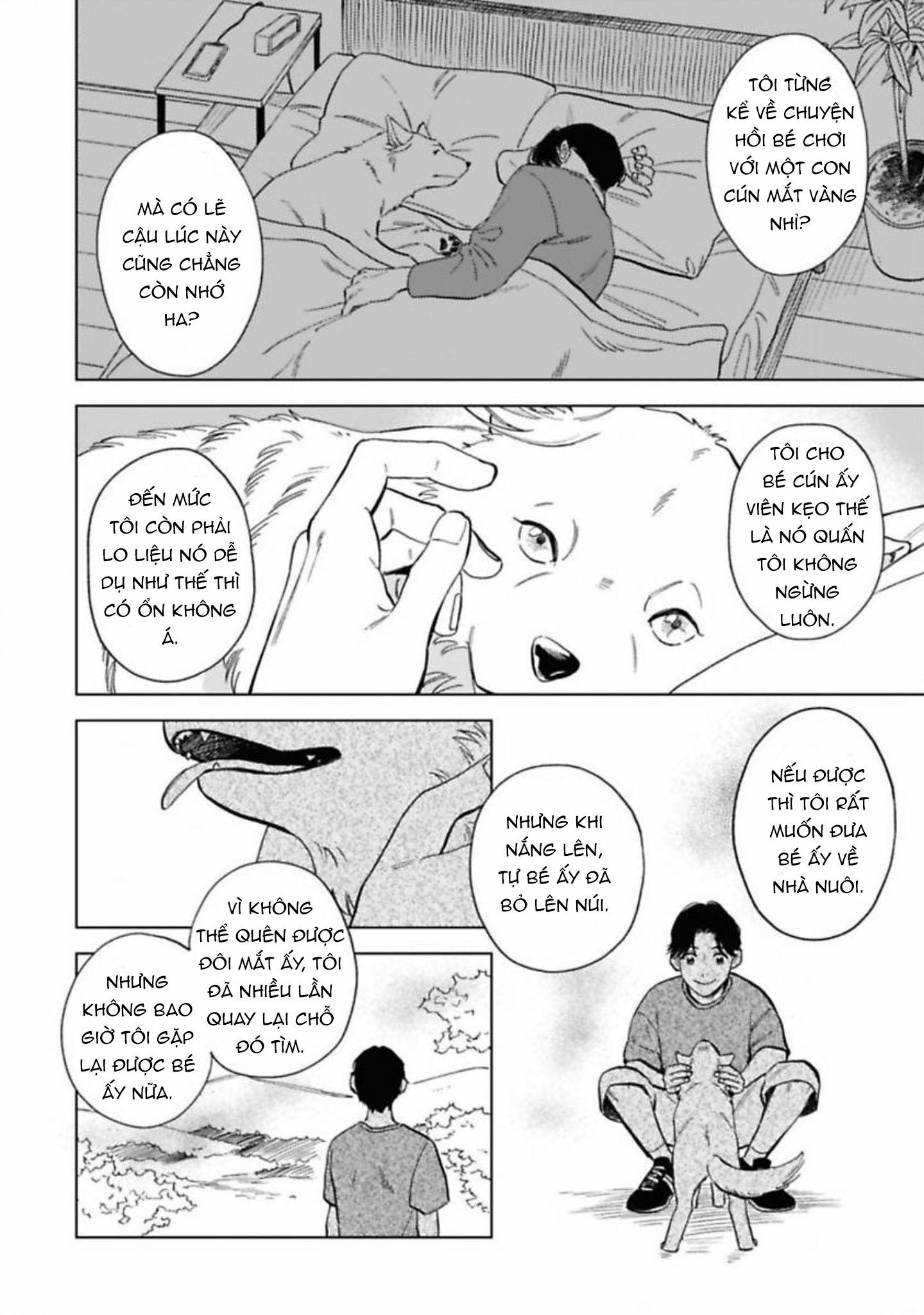 Đọc truyện Lời Tỏ Tình Của Chú Sói - Chapter 5