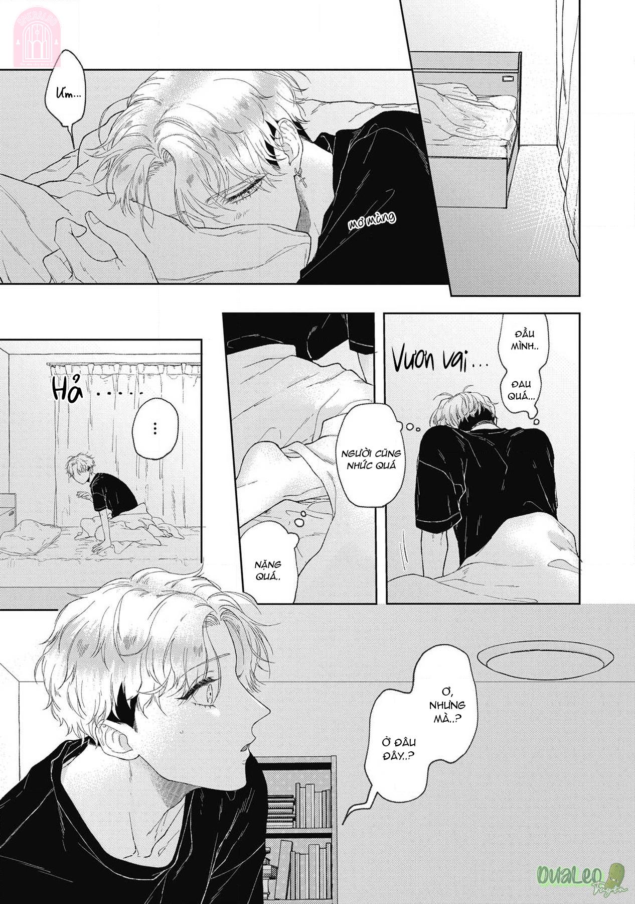 Đọc truyện Mèo nghiện cỏ còn em thì nghiện anh - Chapter 1