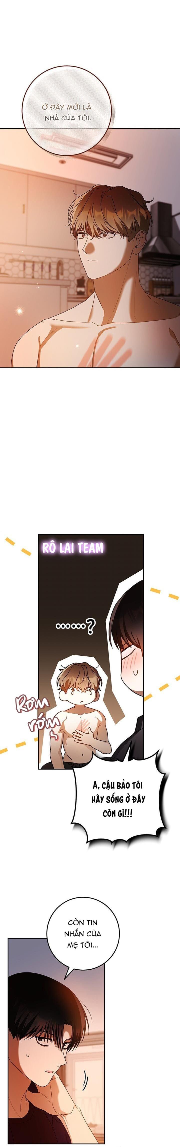 Đọc truyện CÚ ĐẤM NETKAMA - Chapter 81