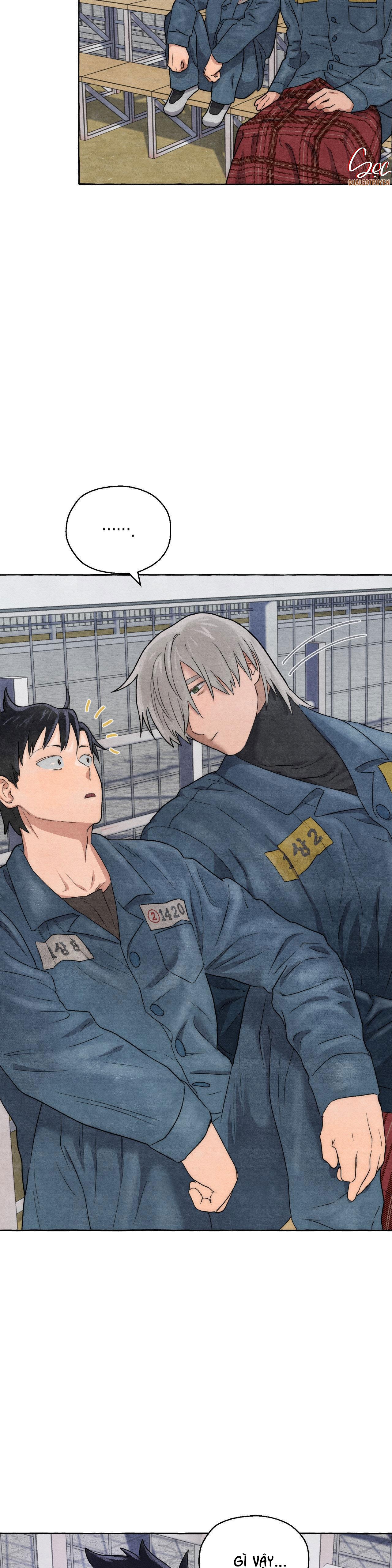 Đọc truyện NHỮNG CON CHÓ TRONG TÙ - Chapter 6