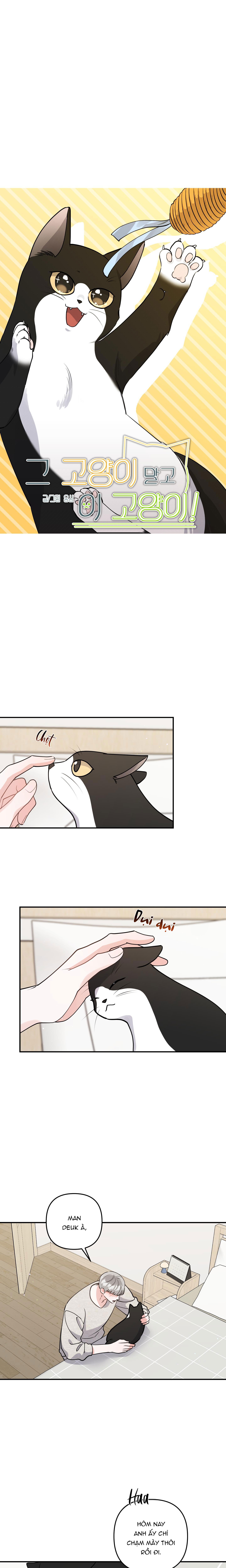 Đọc truyện TUYỂN TẬP TRUYỆN NGẮN HỎNY CỦA NHÀ SẸC - Chapter 57