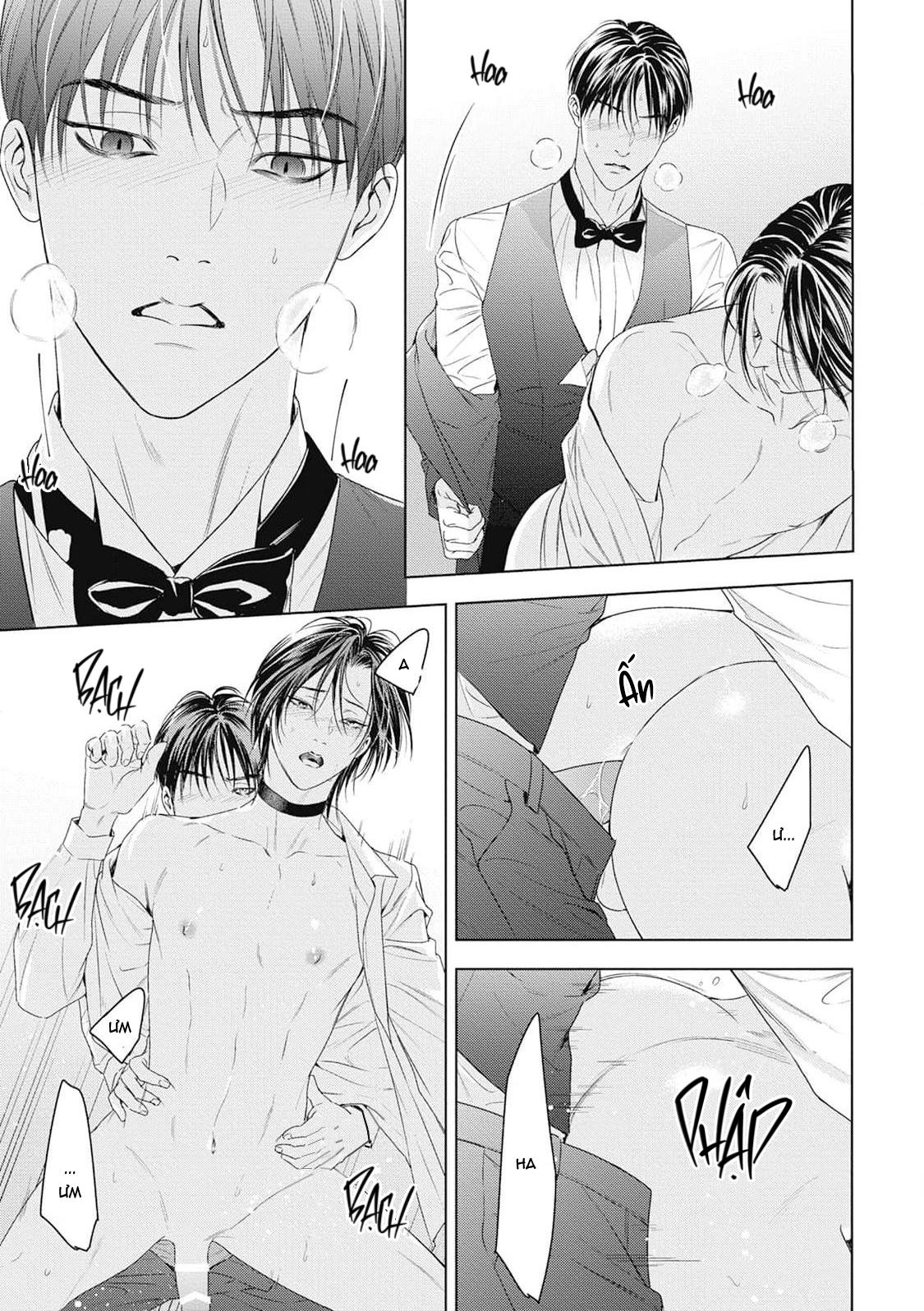 Đọc truyện Hòa thanh dưới ánh nến hoa cùng tình yêu của Omega - Chapter 3