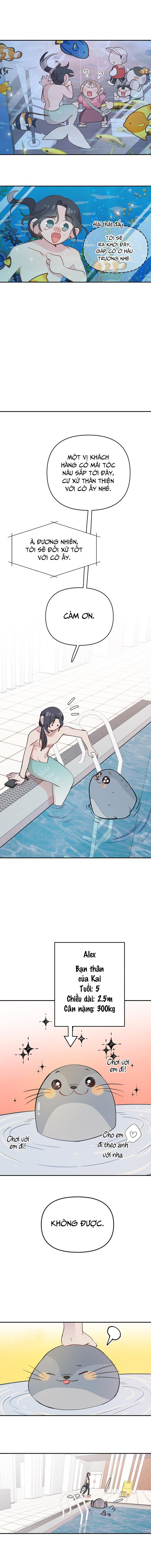 Đọc truyện Chàng tiên cá tôi yêu - Chapter 5