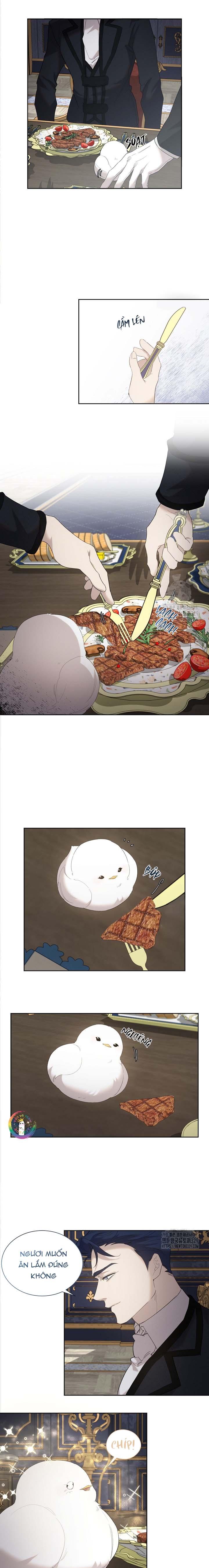 Đọc truyện (END) Này, Đừng Có Nhấn Cái Nút Đó! - Chapter 6