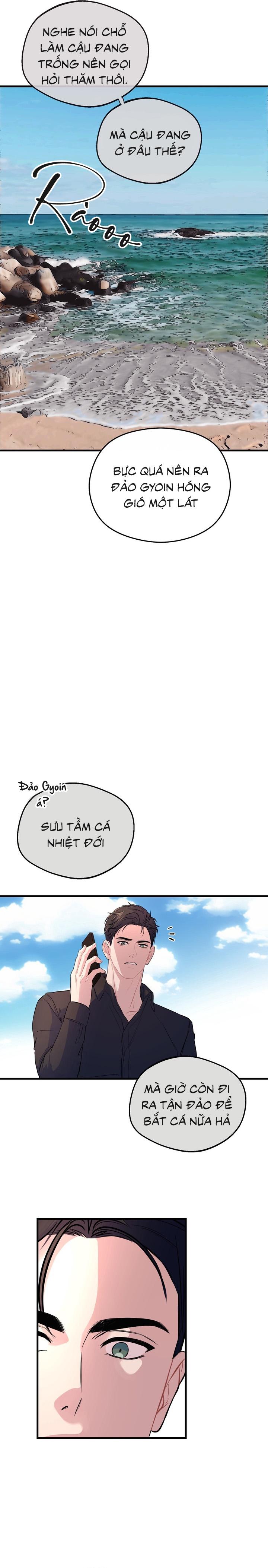 Đọc truyện Người Cá Biến Mất - Chapter 1