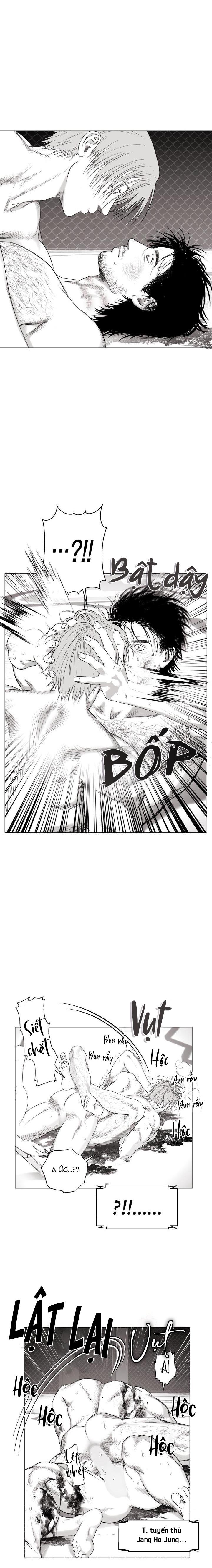 Đọc truyện NHÀ VÔ ĐỊCH NGOAN CƯỜNG - Chapter 11