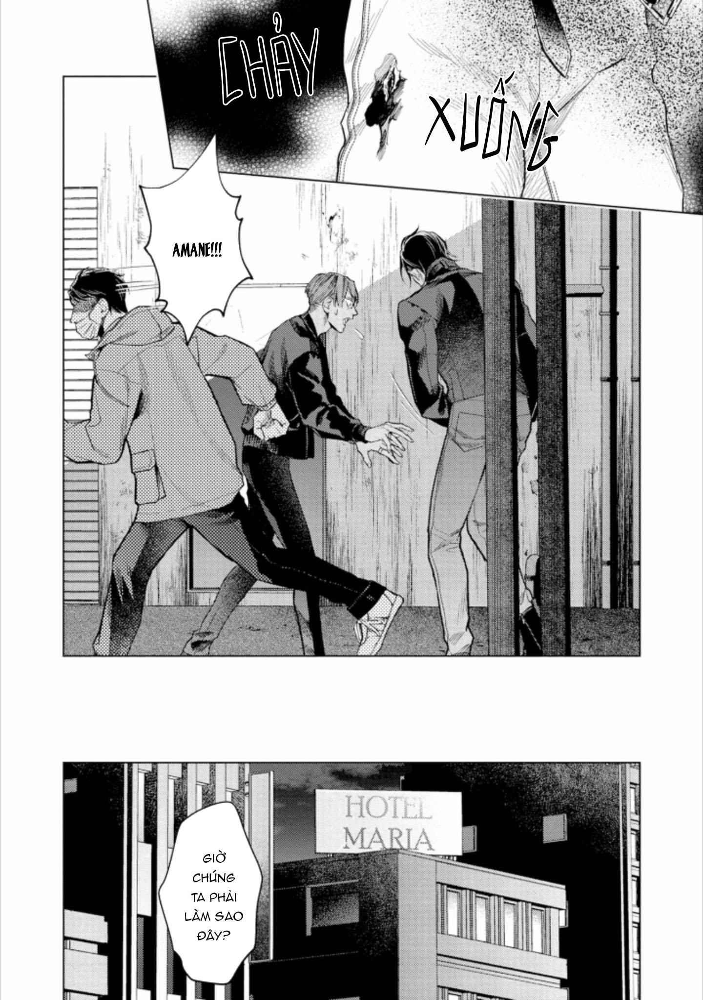 Đọc truyện Liều Thuốc Giảm Đau Tồi Tệ Của Tôi - Chapter 3