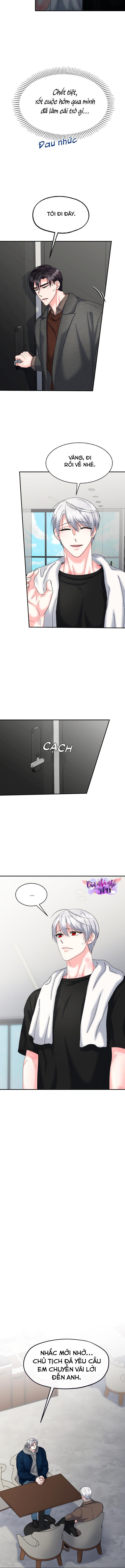 Đọc truyện ĐÂY LÀ CHÚ THỎ MÀ BẠN (KHÔNG) ĐÃ ĐẶT HÀNG - Chapter 21