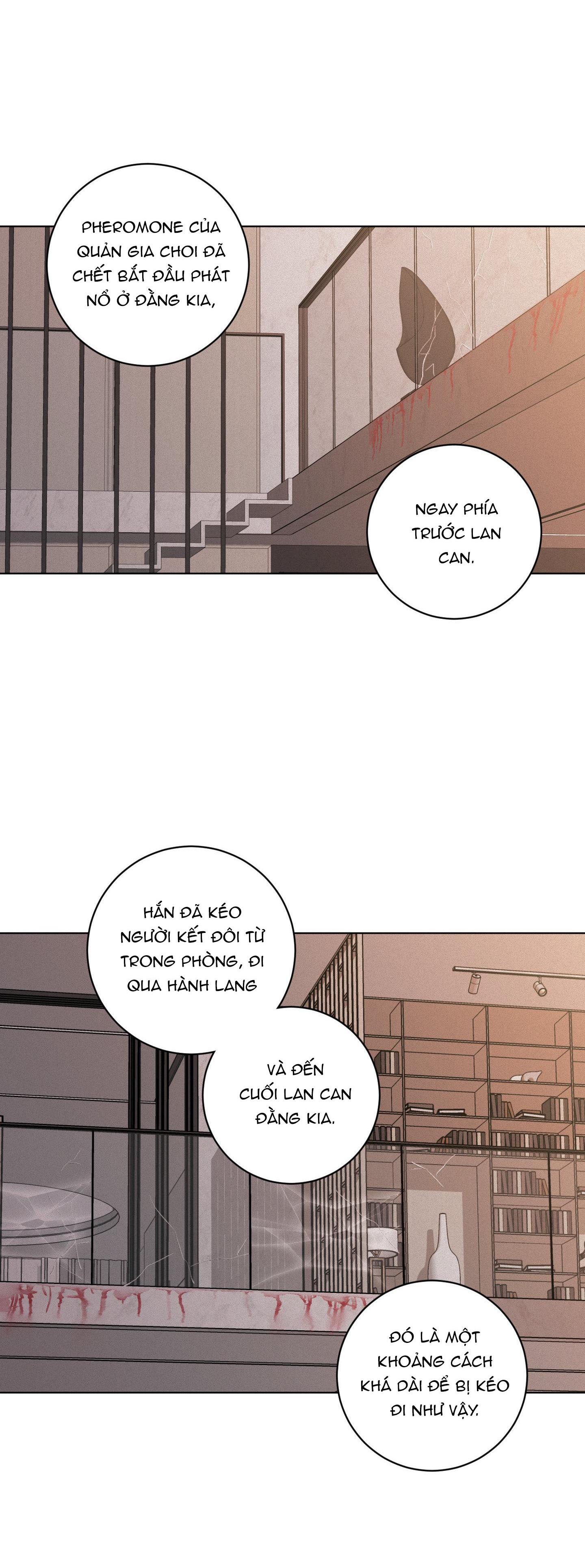 Đọc truyện (ABO) LỜI CẦU NGUYỆN - Chapter 36