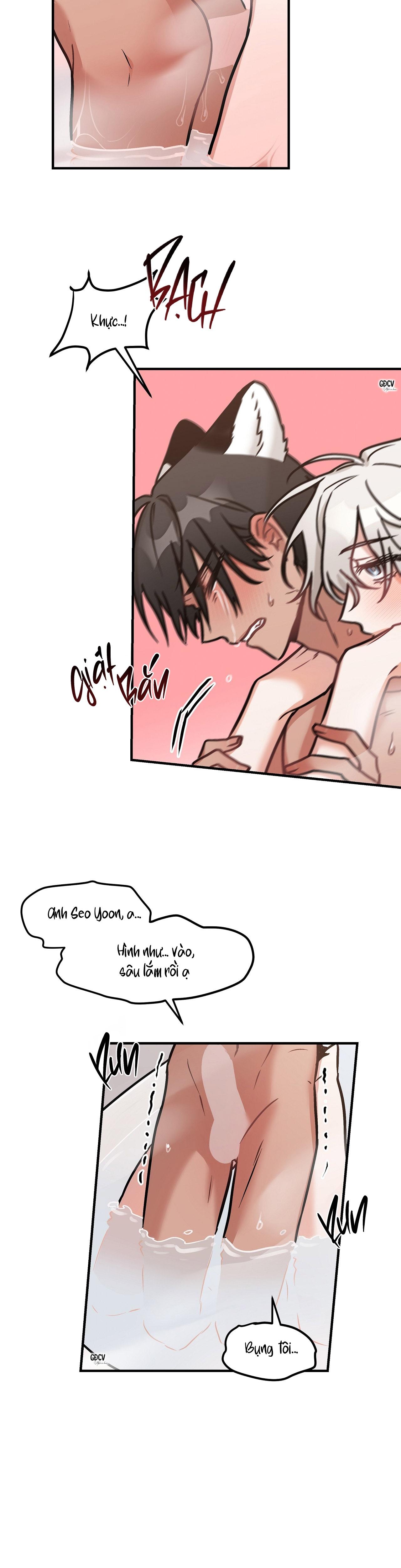 Đọc truyện THƯA NGÀI HỔ, TÔI ĐÃ ĂN RẤT NGON MIỆNG - Chapter 19