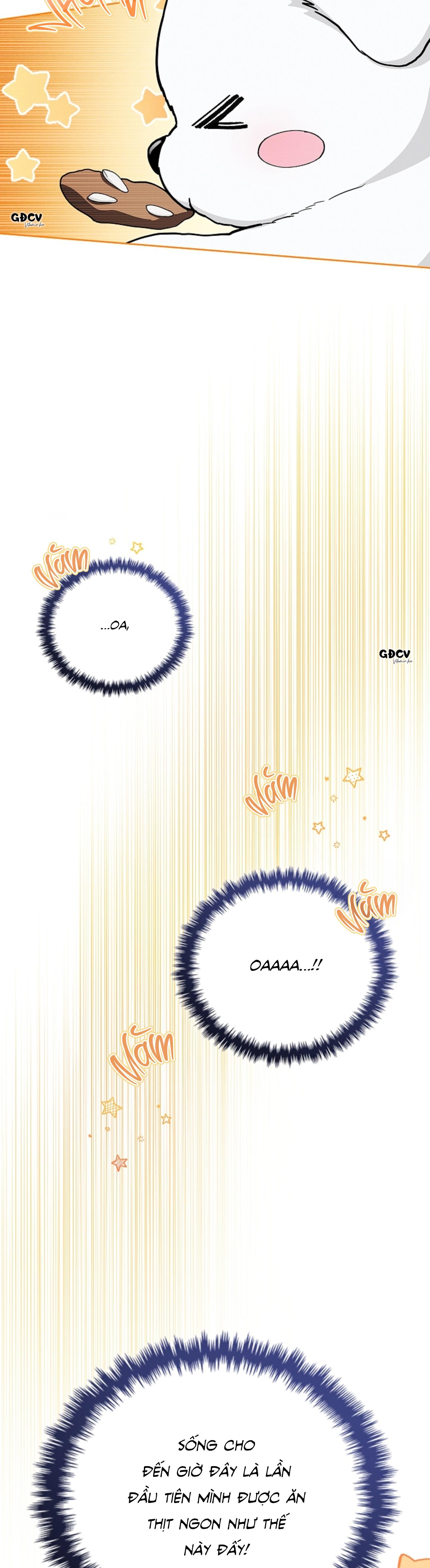 Đọc truyện ĐỪNG CHẠM VÀO CÚN CON CỦA TÔI - Chapter 12