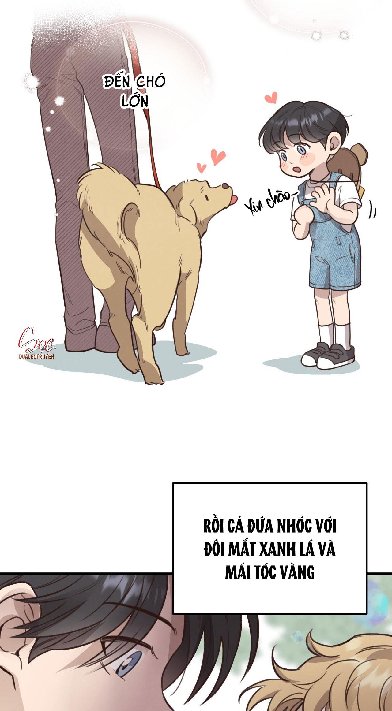 Đọc truyện HONEY BEAR - Chapter 38