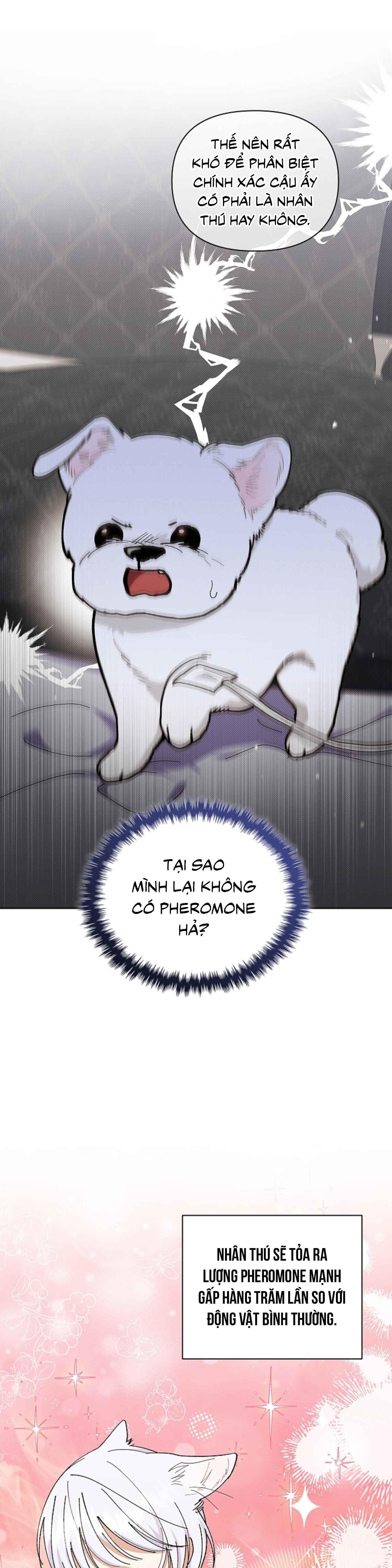 Đọc truyện ĐỪNG ĐỘNG VÀO CÚN CON! - Chapter 4