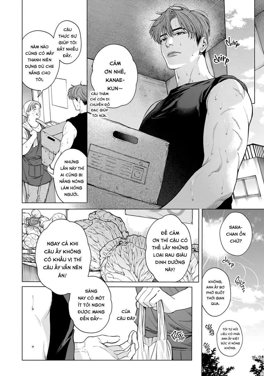 Đọc truyện Thạch lựu lấp lánh trong bãi rác - Chapter 5