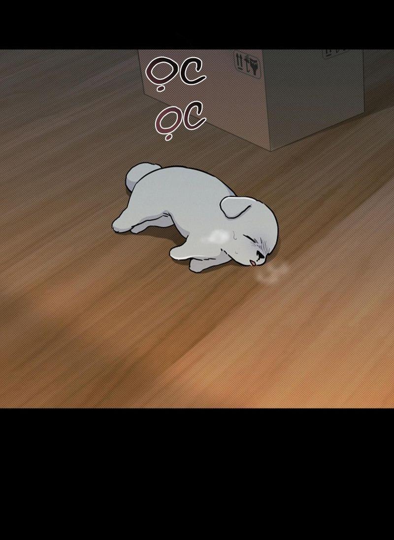 Đọc truyện ĐỪNG ĐỘNG VÀO CÚN CON! - Chapter 16