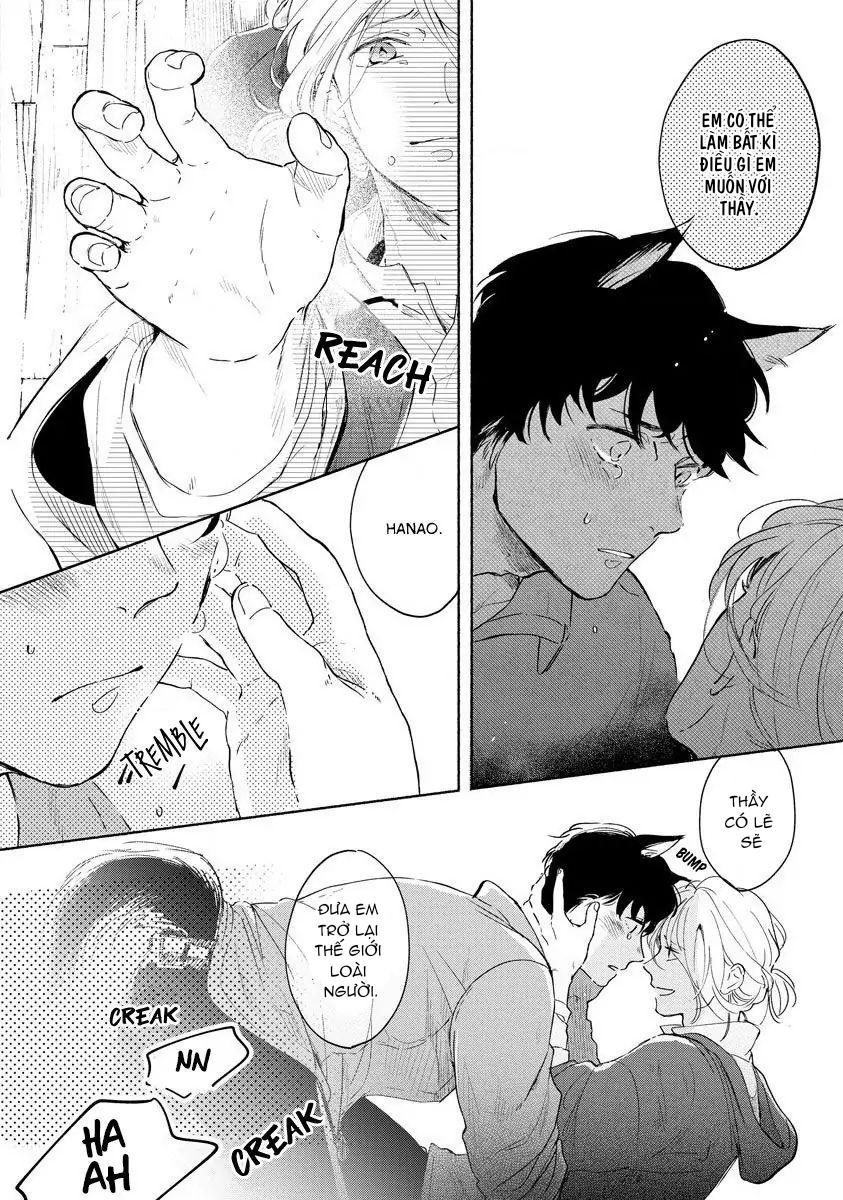 Đọc truyện Kemono no Noroi wa Koi de Hodoku - Chapter 2