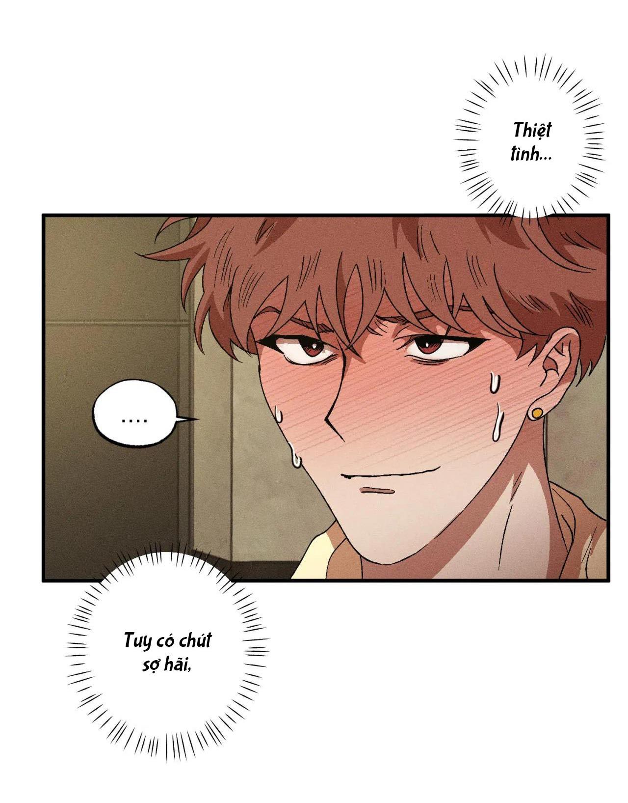 Đọc truyện  Bẫy Đôi Ngọt Ngào - Chapter 67